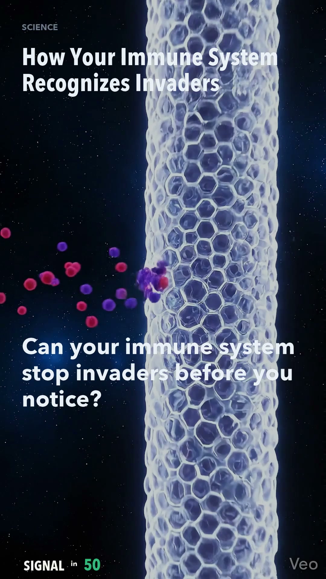 How Your Immune System Recognizes Invaders