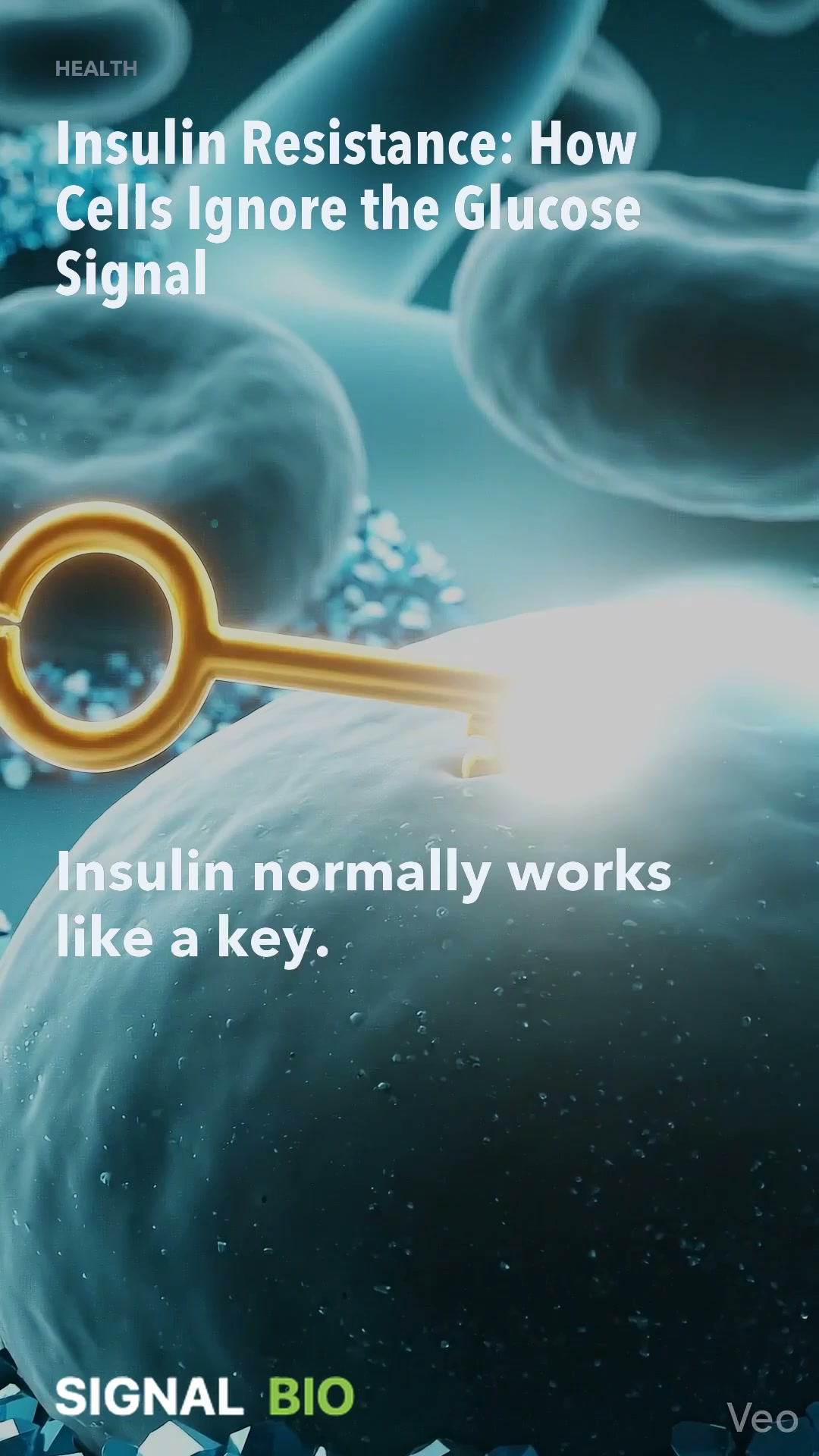 Insulin Resistance: How Cells Ignore the Glucose Signal