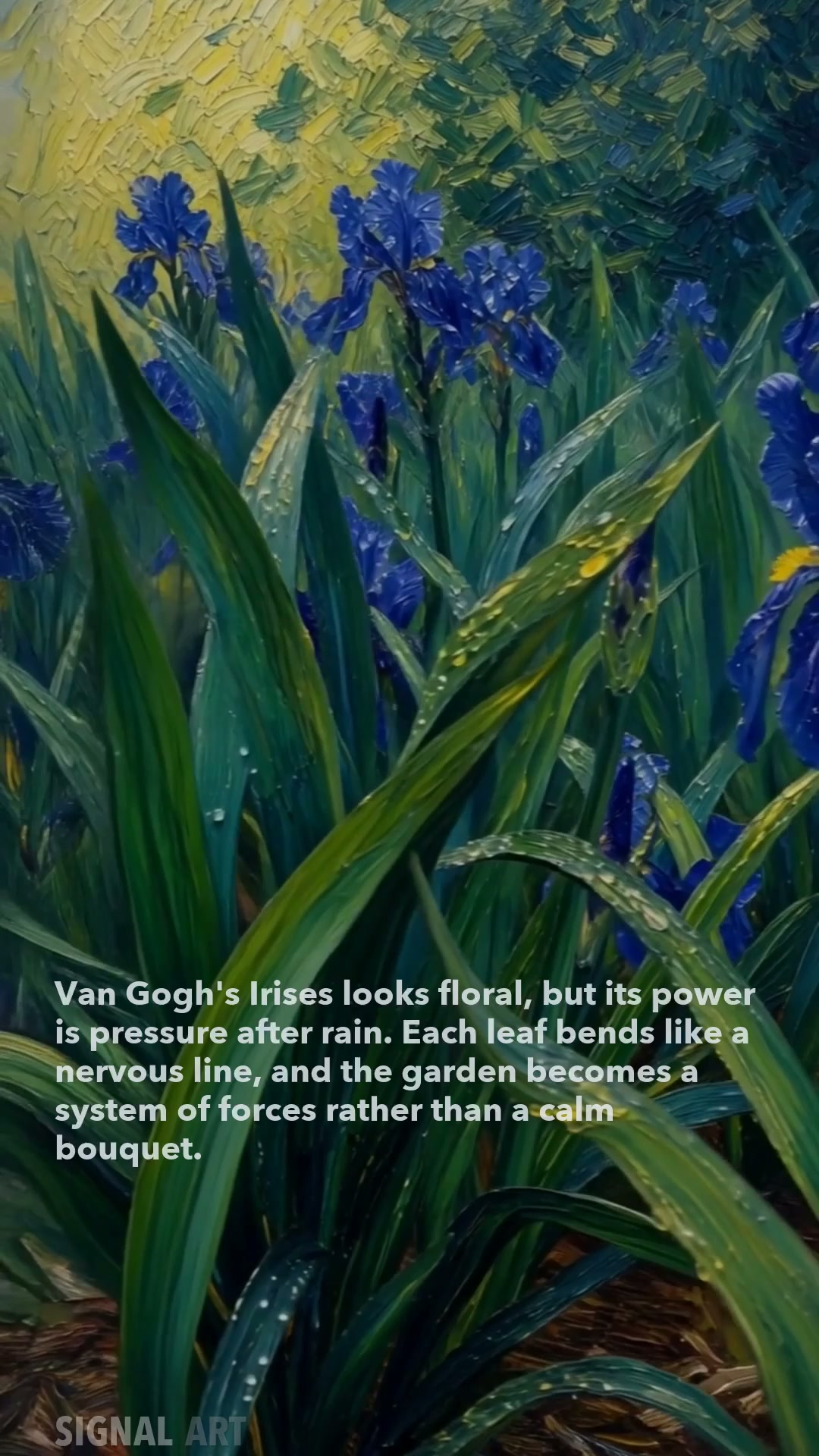 Van Gogh's Irises - The Garden That Became A Nervous System